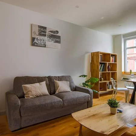 Tres Bel Lumineux Et Comfortable Apartment Lille