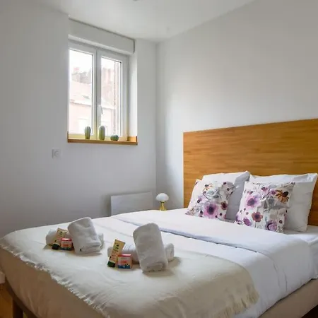 Tres Bel Lumineux Et Comfortable Lille