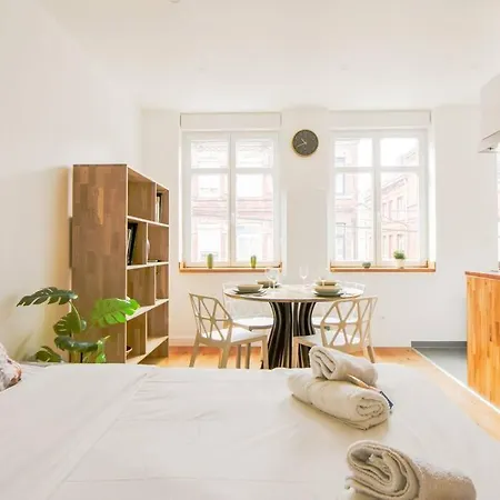 Apartment Tres Bel Lumineux Et Comfortable